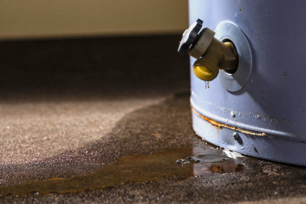  Corsicana, TX Water damage restoration Pros