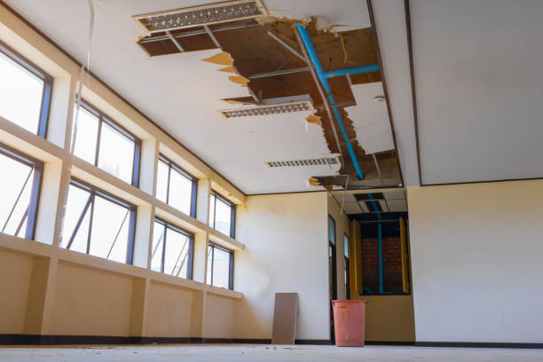 Best Water damage restoration near me  in Corsicana, TX