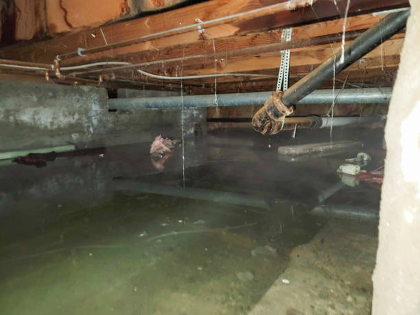  Corsicana, TX Water damage restoration Pros