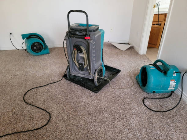 Best Flood restoration services  in Corsicana, TX