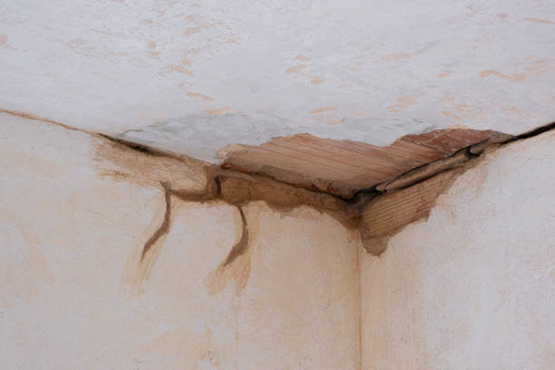 Trusted Corsicana, TX Water damage restoration Experts