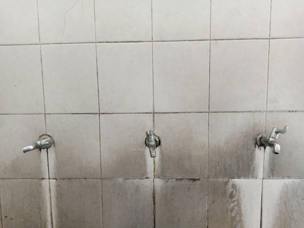 Best Basement water damage restoration  in Corsicana, TX