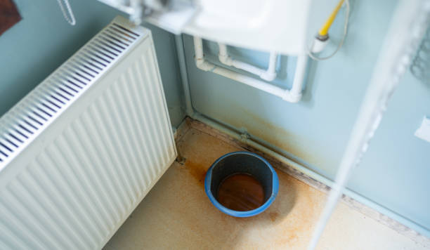 Carpet water damage restoration in Corsicana, TX
