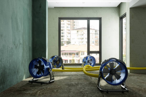 Best Professional water damage repair  in Corsicana, TX