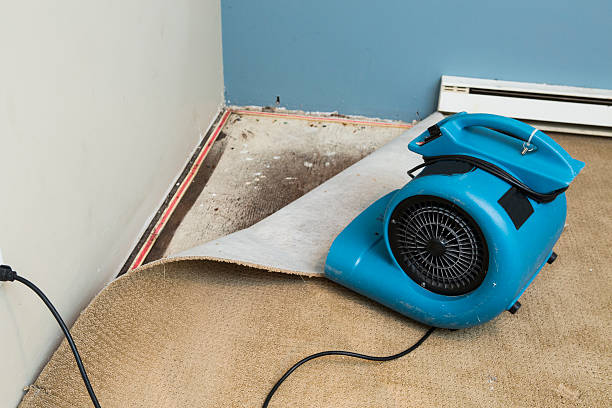 Best Water damage restoration near me  in Corsicana, TX